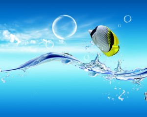 PEIXE-Fish-out-of-the-water_1280x1024